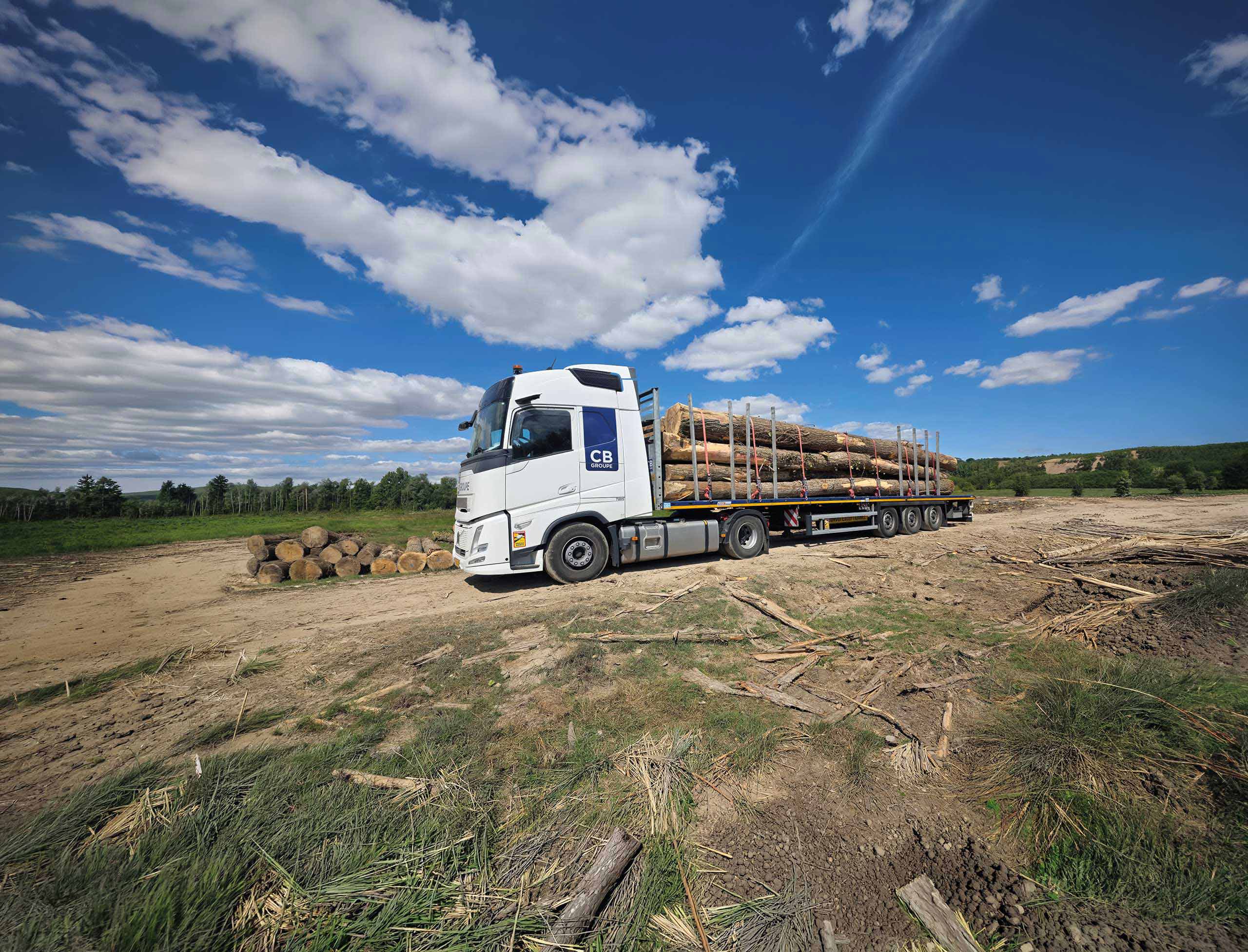 Camion plateau blanc transportant des grumes de bois sur un terrain dégagé.